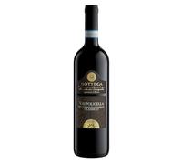 Bottega Valpolicella DOC Classico - 750ml (Confezione da 6)