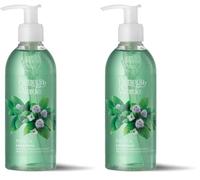 Bottega Verde - Menta, Lavamani, 250 ml, con Estratti di Menta Piperita e Basilico, Detergente e Rinfrescante, Formula Delicata, Ideale per Lavaggi Frequenti, per Tutti i Tipi di Pelle