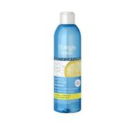 Bottega Verde - Shampoo Antiforfora, Ortica e Limone, per Capelli Grassi, 250 ml, Previene Forfora e Sebo, Azione Purificante e Lenitiva, con Estratto di Ortica e Limone