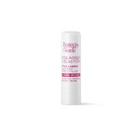 Bottega Verde - Stick Labbra Collagene+ Elastina, Idratante Effetto Filler | Nutriente, Idratante, Protettivo e Riempitivo, con Acido Ialuronico e Phytocollagen, per Labbra Secche, 5 ml