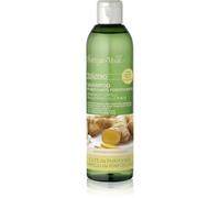 Bottega Verde Zenzero shampoo detergente per capelli più forti 250 ml