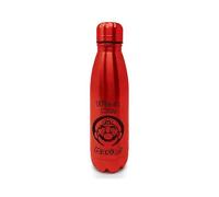 Pyramid International Nintendo Mini Cola Bottle (Super Mario Design) Metal Water