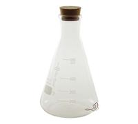 Bottiglia Cocktail Labware Glass Flask 500 ml The Bars | Bottiglia Barman