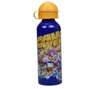 Bottiglia D'Acqua Alu Per Bambini Sport Disney Frozen
