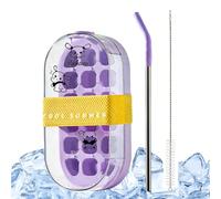 Bottiglia Riutilizzabile con Ice Maker,Bottiglia 2 in 1 con Cannuccia | Stampo per Ghiaccio Domestico a Contatto Zero - per Cucina, Ufficio, Viaggi, Outdoor, Camping, Trekking,