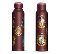 Bottiglia slim in acciaio inox Harry Potter