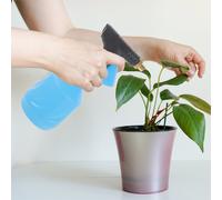 Bottiglia Spray Spruzzino Giardino Spruzzatore Giardinaggio Per Acqua