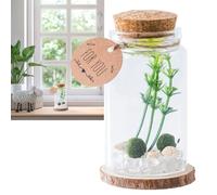 Bottigliette di con Tappo in Sughero - Contenitore In | Vasetto con Tappi in Legno Decorazione per Cucina Regalo con Messaggi di Auguri per Amici e Famiglia