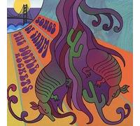 Bottle Rockets - Songs of Sham