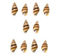 Bottoni a conchiglia naturali con motivi unici per stilisti e progetti artigianali in 10 pezzi per accessori di stilista