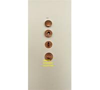 Bottoni a pressione per torchietto Serie FF DIAM.TESTA MM.12 in OTTONE(pezzi100)