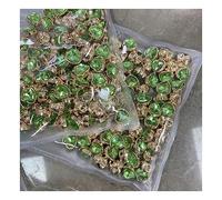 Bottoni in metallo 10 pezzi con gambo in strass a cuore da 11 mm | Bottoni perforati con taglio a cuore perlato for lavorare a maglia cappotti sartoriali all'uncinetto(Green)
