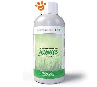 Bottos Master Green Always Biostimolante organico naturale per tappeti erbosi