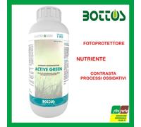 BOTTOS CONCIME ACTIVE GREEN NUTRIENTE FOTOPROTETTORE MICROELEMENTI CHELATI 1 KG
