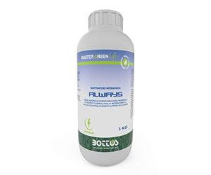 Bottos Concime Fertilizzante per Prato Always Master Green Life 1 Kg