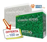 Bottos DICHONDRA REPENS → 100-500 gr / 1 kg - Semi Prato, Tappeto Erboso Folto
