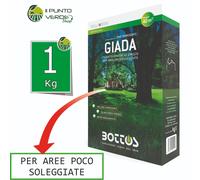 Bottos GIADA 1 - 2 - 4 Kg seme prato professionale per ZONE OMBREGGIATE