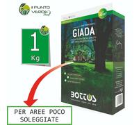 Bottos GIADA 1 KG seme prato professionale per zone OMBREGGIATE tappeto erboso