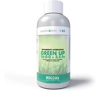 Bottos I Green Up 1 KG - Concime Rinverdente, Base di Azoto e Solfato di ferro, Specifico per nutrizione tappeti erbosi