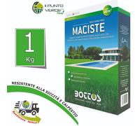 Bottos MACISTE 1 - 5 - 10 - 20 Kg seme per prato EXTRA FORTE RESISTENTE