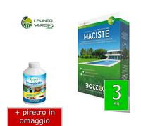 Bottos MACISTE 1 - 5 - 10 - 20 Kg seme per prato EXTRA FORTE RESISTENTE