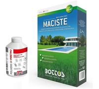 Maciste, Sementi per tappeto erboso Bottos 1Kg, prato resistente e rustico ideale per zone aride + insetticida PBK GM, salva-semi Antiformiche in Polvere di Piretro 250g