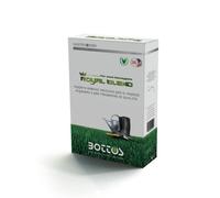 Bottos -ROYAL BLEND - Semi per Prato . Tappeto erboso per il rapido rigenero-1kg