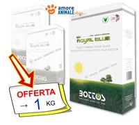 Bottos ROYAL BLUE → 1 kg - Sementi Professionali per Tappeto Erboso e Prato