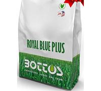 BOTTOS ROYAL BLUE PLUS KG 10