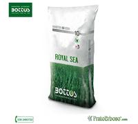Bottos Royal Sea - Sementi per prato ad uso professionale - confezioni 1/10 Kg