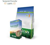 BOTTOS - ROYAL STRONG PLUS / 10 Kg - Sementi per prato 8032615945560
