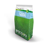 BOTTOS Sementi per Prato Zollaverde Giada 5kg per Giardini in Ombra Cura Giardino