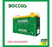 BOTTOS SEMI DI PRATO DICONDRA REPENS 1 KG PERENNE SEMPREVERDE RESISTENTE