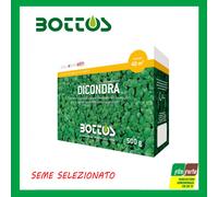 BOTTOS SEMI DI PRATO DICONDRA REPENS 500 GR PERENNE SEMPREVERDE RESISTENTE