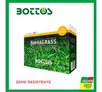BOTTOS SEMI PER PRATO BAHIA-GRASS 500 GR PASPALUM NOTATUM RESISTENTE AL GELO