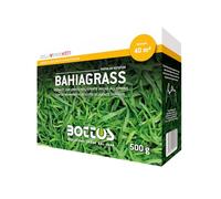 Bottos Semi per prato Bahia-grass (Paspalum notatum) 500 grammi | semi di paspalm notatum