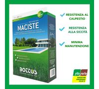 BOTTOS SEMI PROFESSIONALI MACISTE PRATO TAPPETO ERBOSO 1KG RESISTENTE FESTUCA