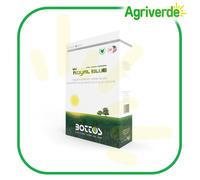 Bottos - ROYAL BLUE - Semi per Prato, Resistente alla siccità - Kg 1