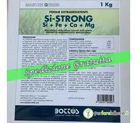Master Green SI STRONG Kg 1 Bottos
