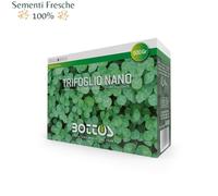 BOTTOS - TRIFOGLIO REPENS NANO / 500 gr - Sementi per prato 8032615940718
