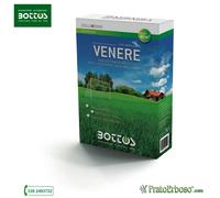 Bottos Venere - Sementi per prato ad uso professionale - confezioni 1-5-20 Kg