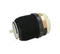 Boudin Sospensione Pneumatica Posteriore Per Audi A6 4F0616001 4F0616001J