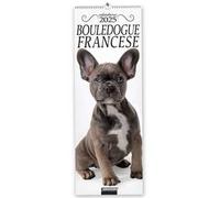 Bouledogue francese. Calendario 2025. Long