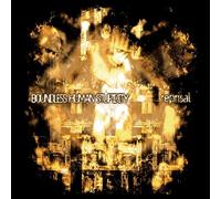 Boundless Human Stupidity