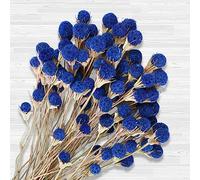 Bouquet di 40 fiori di cardo essiccati blu naturale, piante secche alla rinfusa, pianta a bottone, 43 cm, composizioni floreali fai da te per casa, stile bohémien, cucina, tavolo, vaso per matrimoni
