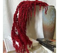 Bouquet di fiori secchi, 24-31.5 Amaranto essiccato sospeso, fiori di vite naturali realistici, piante riutilizzabili per decorazioni per feste per la casa per la parete del bouquet di nozze, rosso s