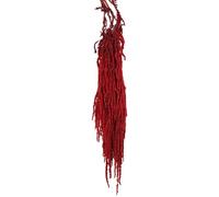 Bouquet di fiori secchi, 24-31.5 Amaranto essiccato sospeso, fiori secchi di vite naturali vitali, piante secche riutilizzabili per decorazioni per la festa della parete del bouquet di nozze, rosso s