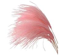 Bouquet di fiori secchi decorativi, 10 pezzi di fiori secchi bouquet di erba di pampa fiori artificiali decorazioni for la casa decorazione di nozze di Natale vaso di erba di pampa(B Pink)