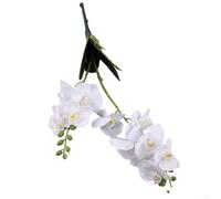 Bouquet di orchidee farfalle artificiali da 50 cm, con orchidee falene realistiche, per bouquet da sposa, feste, interni ed esterni, decorazione per la casa ed eventi composizioni floreali (bianco)