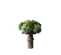 Bouquet di Ortensie Botané Verde